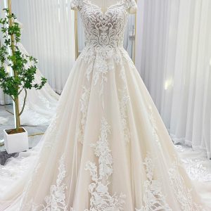 VET437 Ball Gown Chapel Train Lace Tulle Wedding Dress