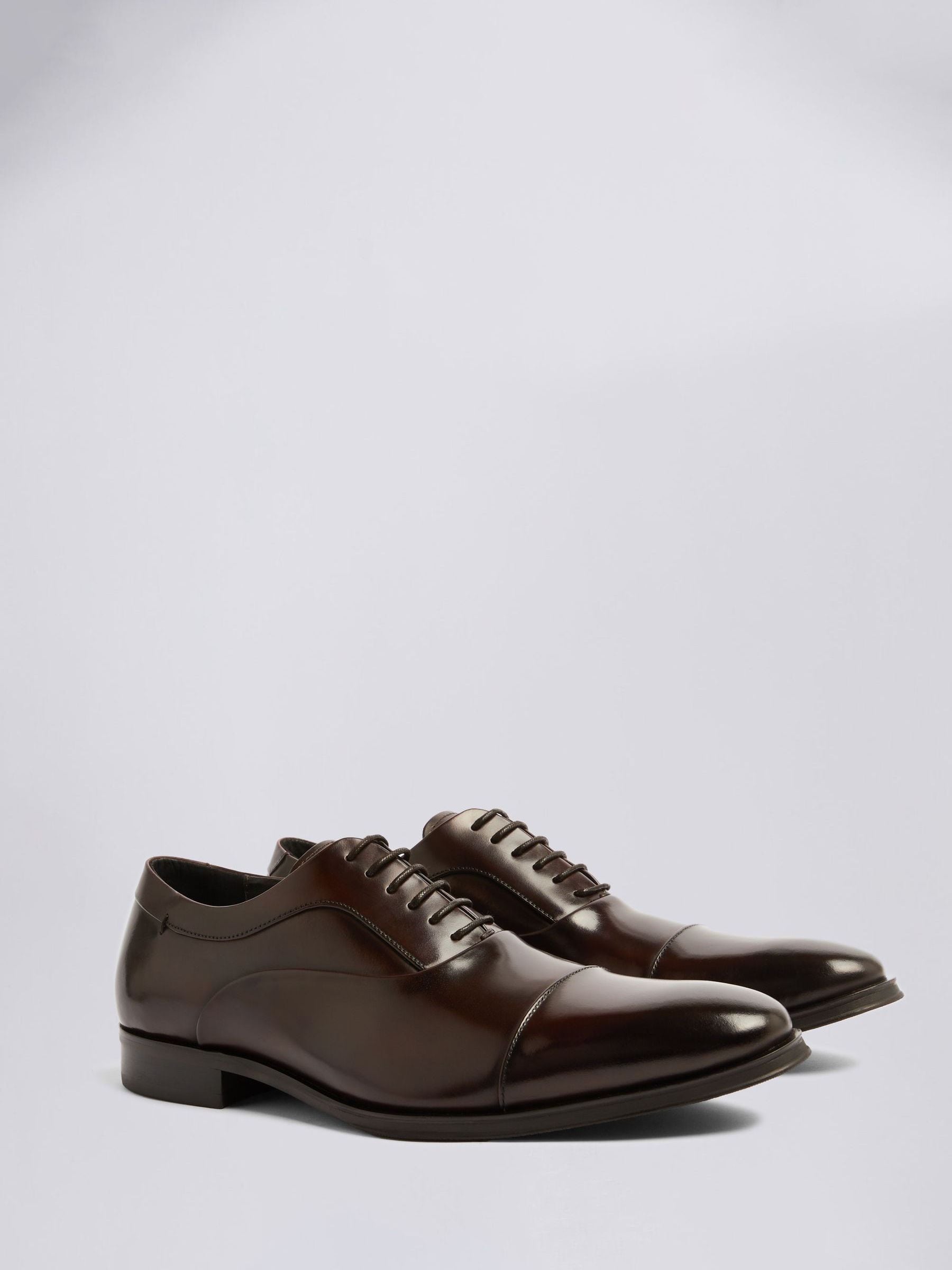 VET376 Brown Oxford Shoes